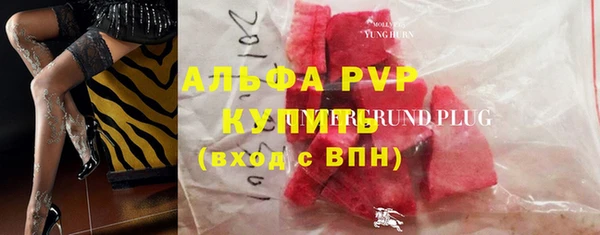 таблы Козельск