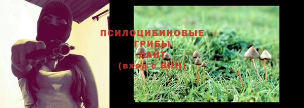 таблы Козельск
