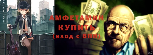 гидра Кодинск