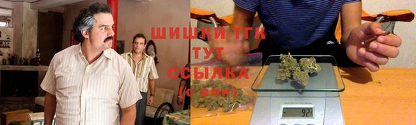 таблы Козельск