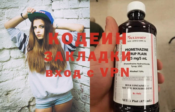 гидра Кодинск