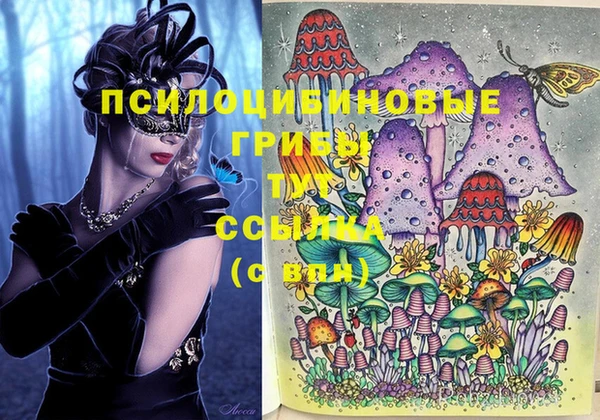 кокаин премиум Козловка