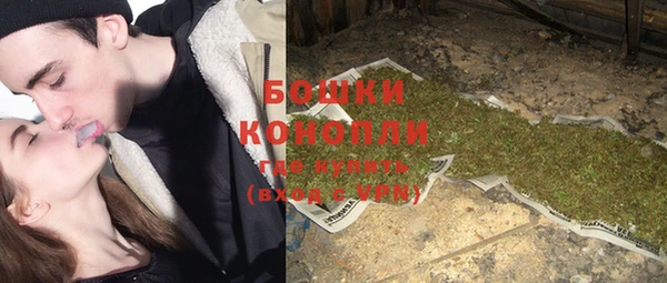 гидра Кодинск