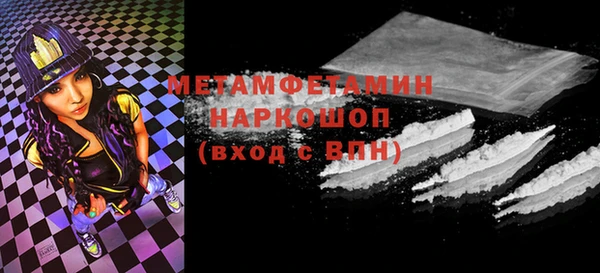 гидра Кодинск